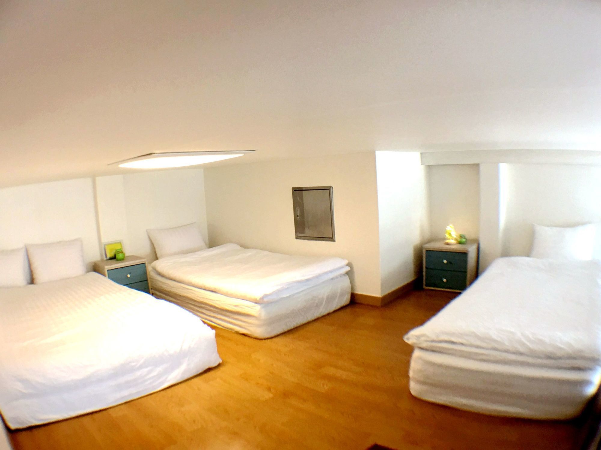 Cozy House Apartment